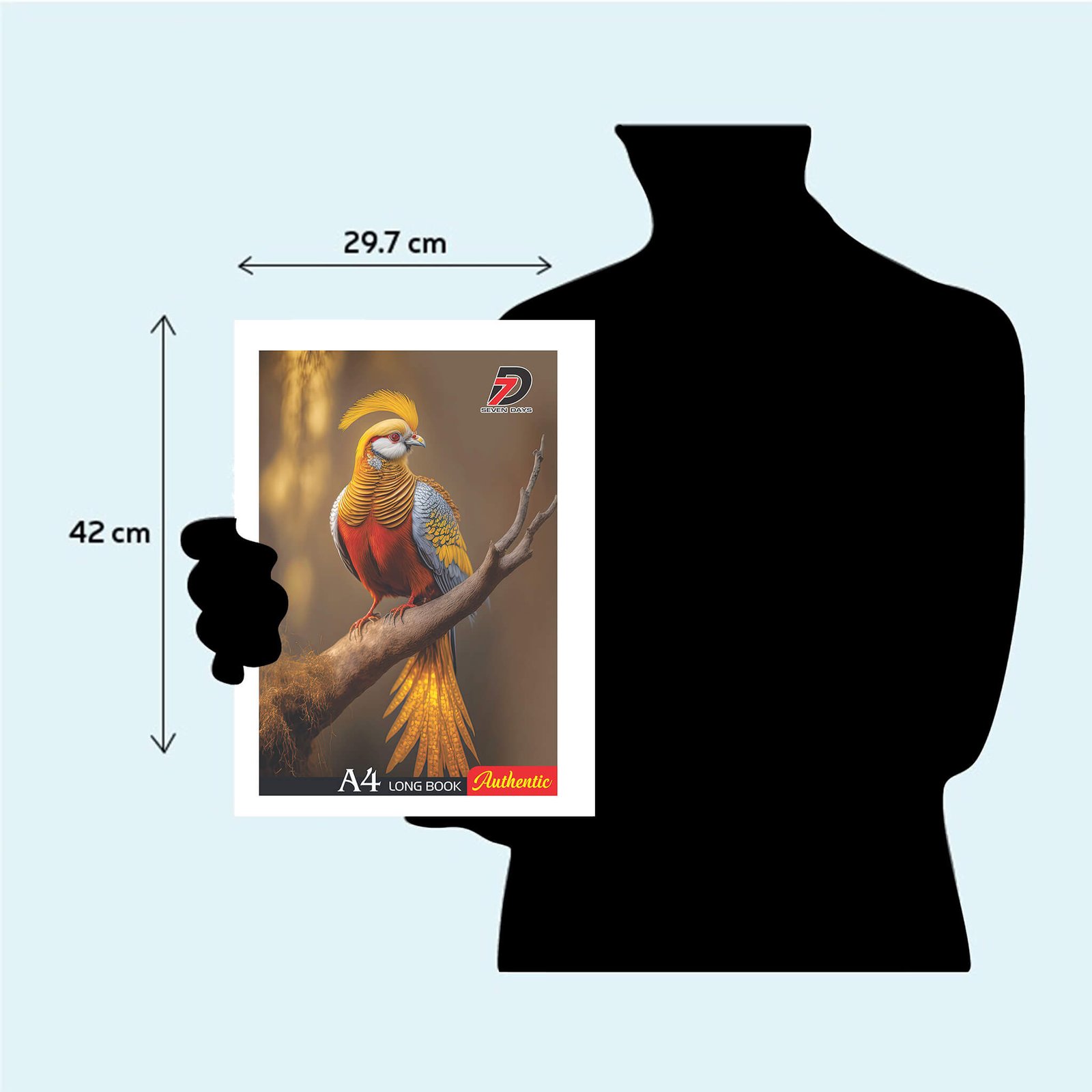 Holding Authentic A4  Register 03